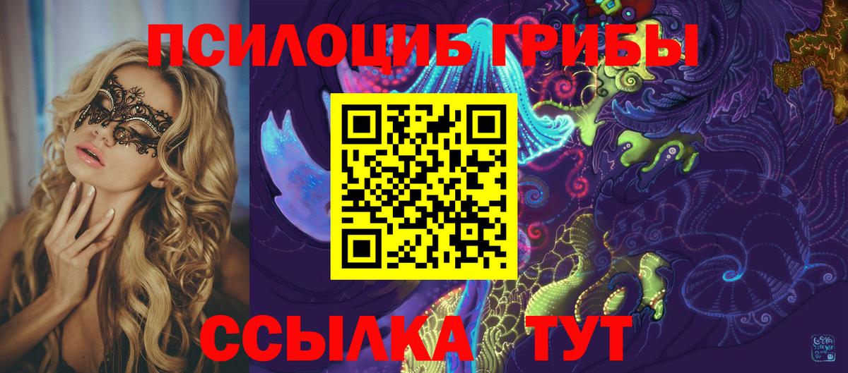 Арсеньев  Псилоцибиновые грибы ЛСД  Вход с VPN 